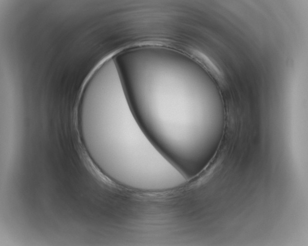 X0000113370900200909151024