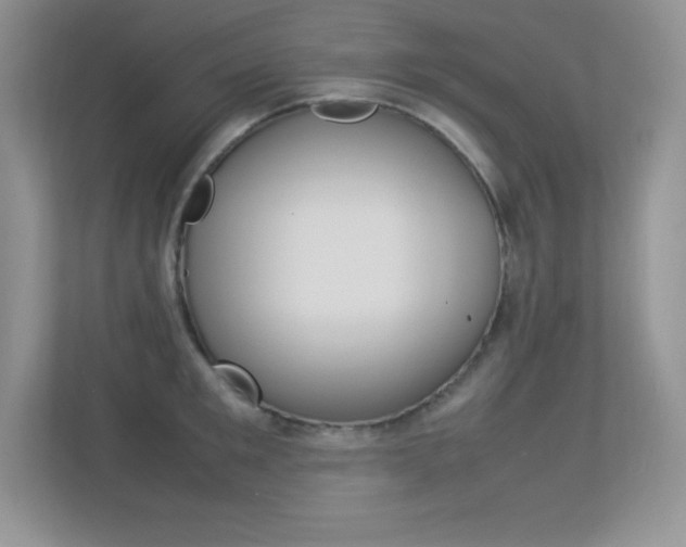 X0000113370901200909151024