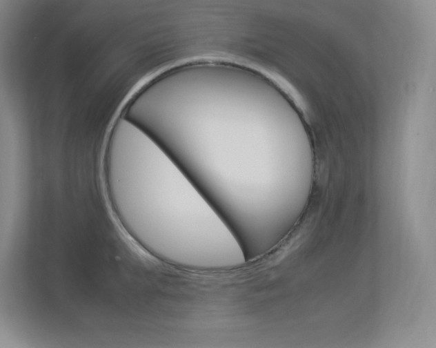 X0000113370903200909151024