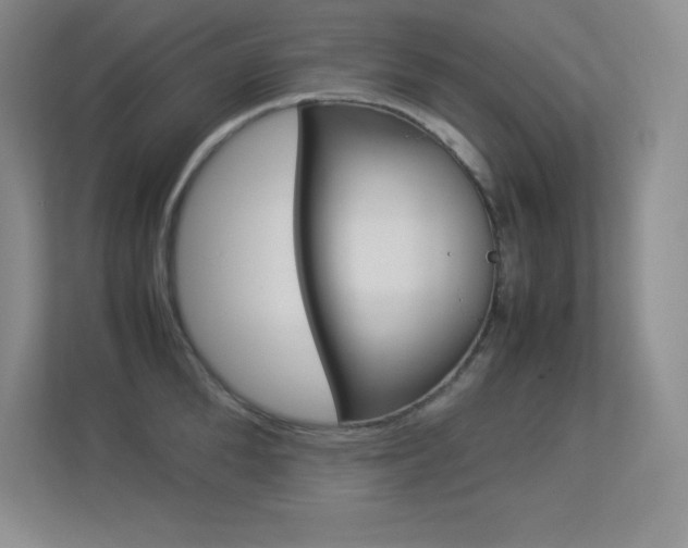 X0000113370904200909151024