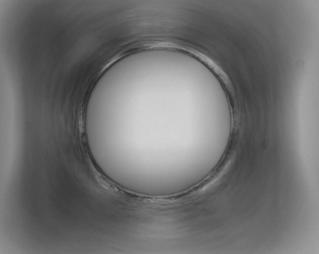 X0000113370905200909151024