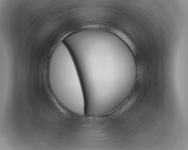 X0000113370906200909151024