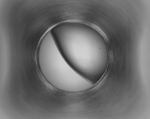 X0000113370908200909151024