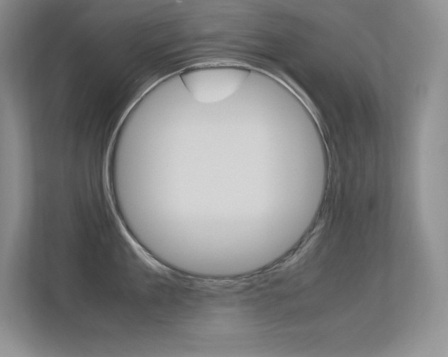 X0000113370909200909151024