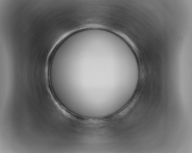 X0000113370910200909151024