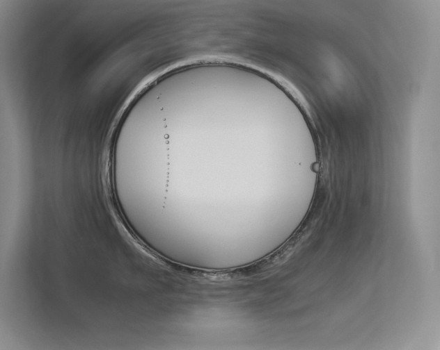 X0000113370911200909151024