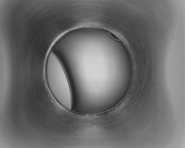 X0000113370912200909151024