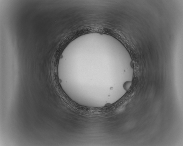 X0000113370913200909151024
