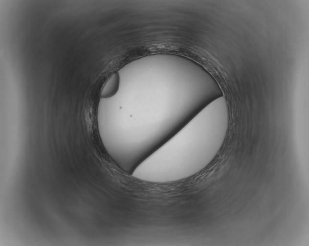 X0000113370915200909151024