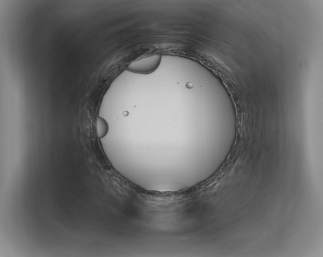 X0000113370917200909151024