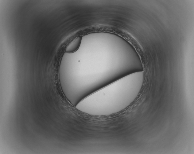 X0000113370919200909151024