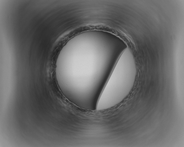 X0000113370920200909151024