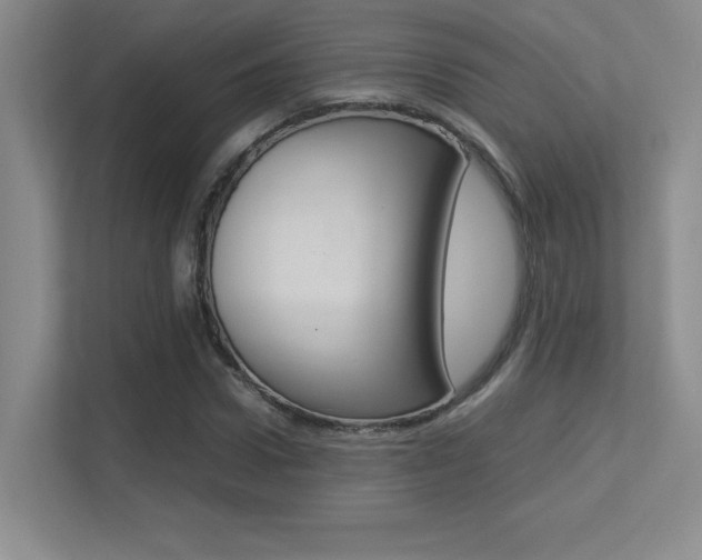 X0000113370922200909151024
