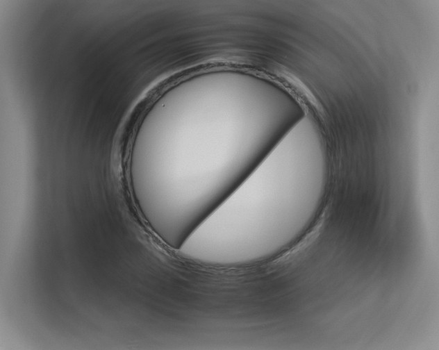 X0000113370923200909151024