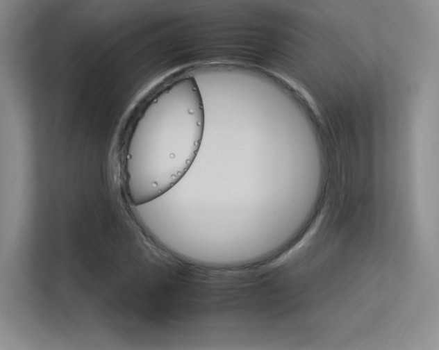 X0000113370925200909151024