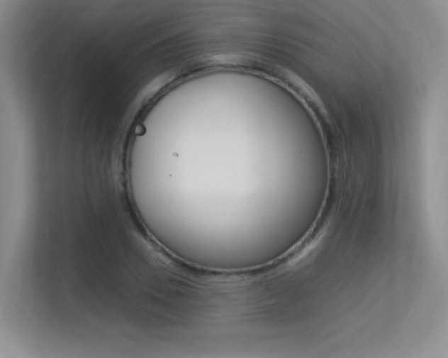 X0000113370930200909151024