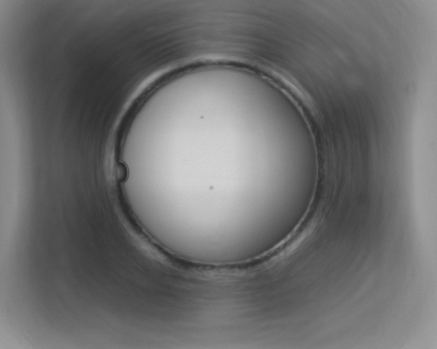 X0000113370934200909151024