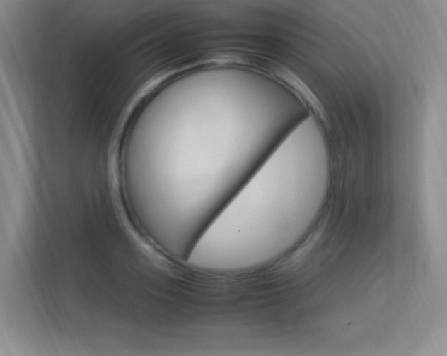 X0000113370939200909151024