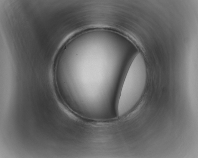 X0000113370942200909151024