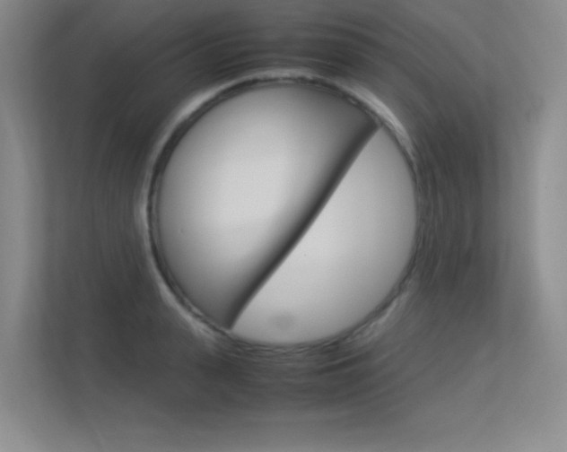 X0000113370943200909151024