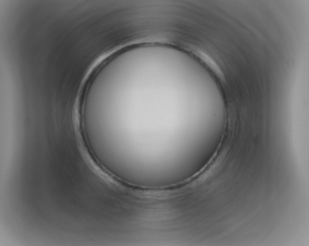 X0000113370944200909151024