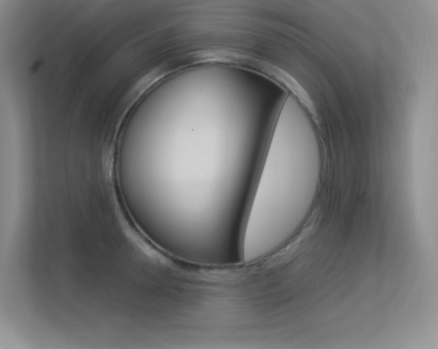 X0000113370946200909151024