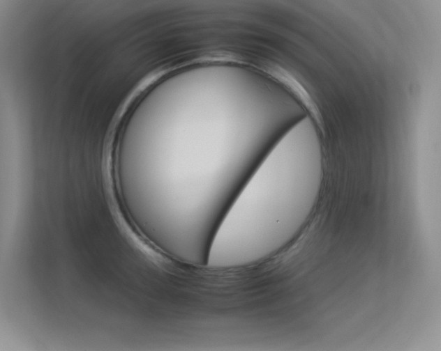 X0000113370947200909151024