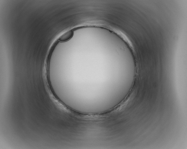X0000113370952200909151024