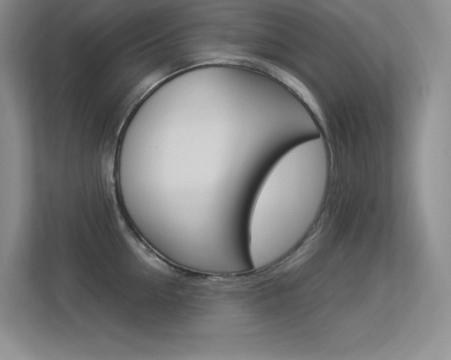 X0000113370954200909151024