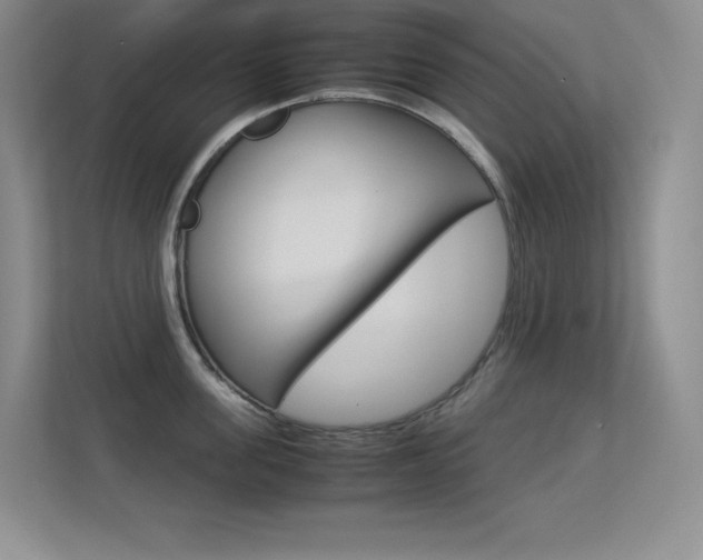 X0000113370955200909151024