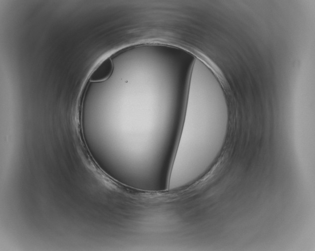 X0000113370956200909151024