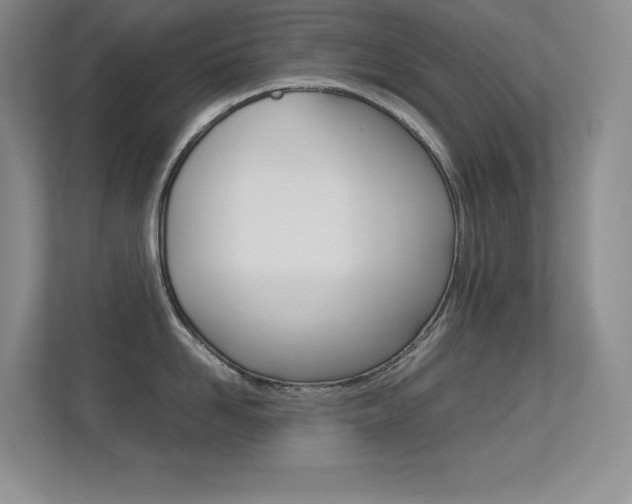 X0000113370958200909151024