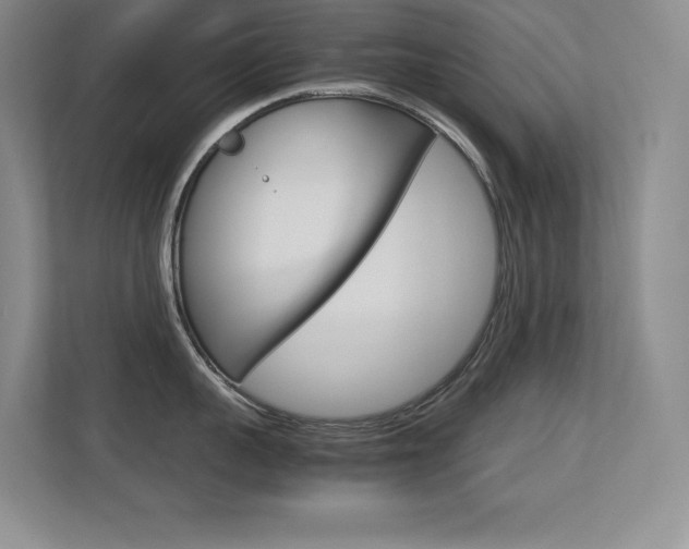 X0000113370959200909151024