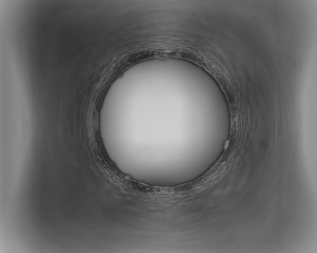 X0000113370961200909151024