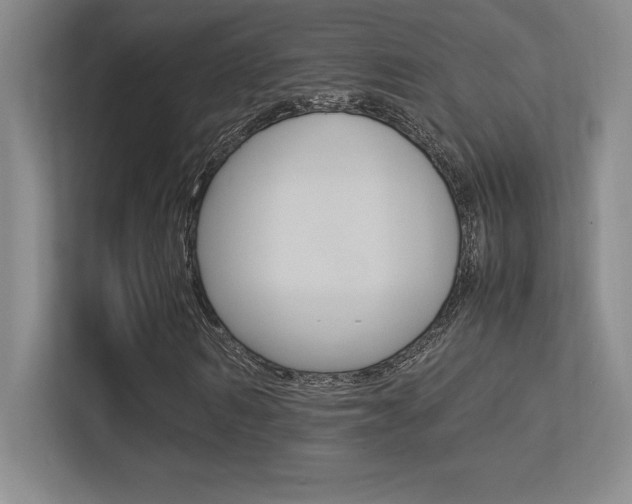 X0000113370962200909151023