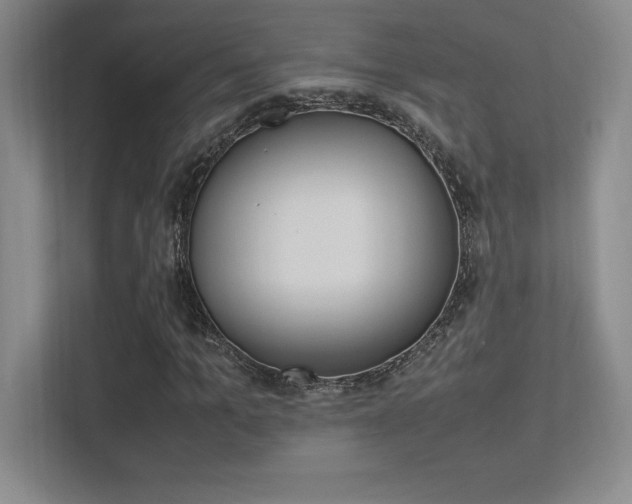 X0000113370965200909151023