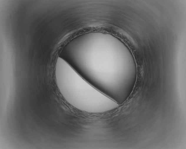 X0000113370968200909151023