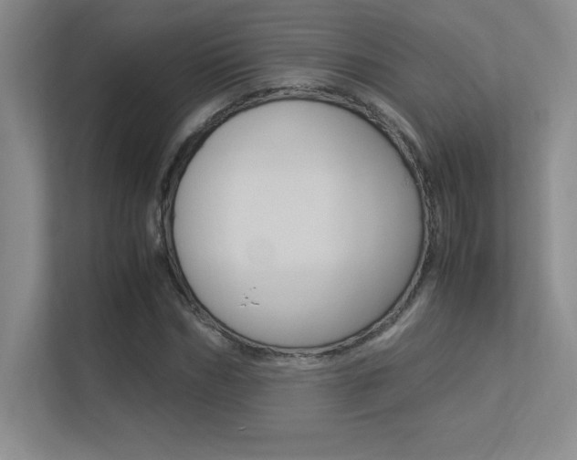 X0000113370970200909151023