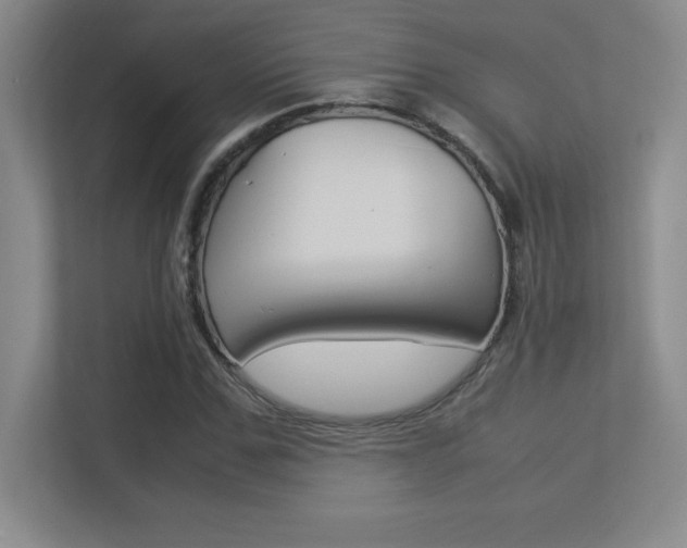 X0000113370971200909151023