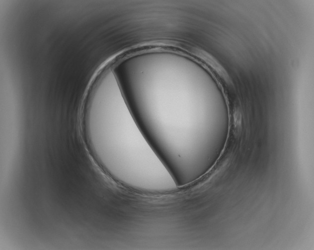 X0000113370972200909151023