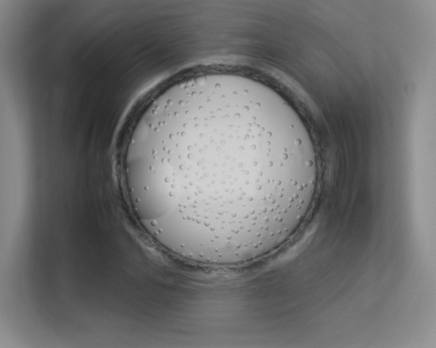X0000113370974200909151023