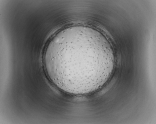 X0000113370978200909151023