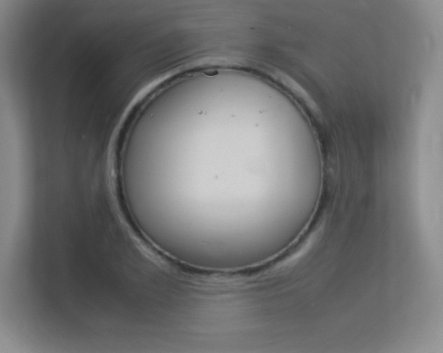 X0000113370981200909151023