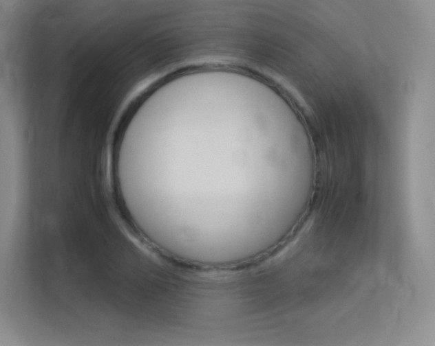 X0000113370982200909151023