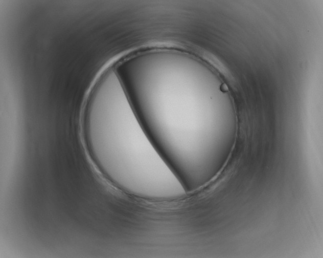 X0000113370984200909151023