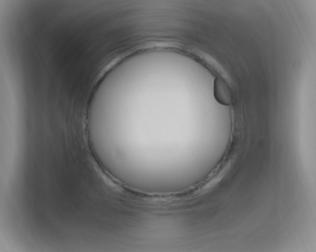 X0000113370985200909151023