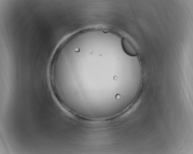 X0000113370989200909151023