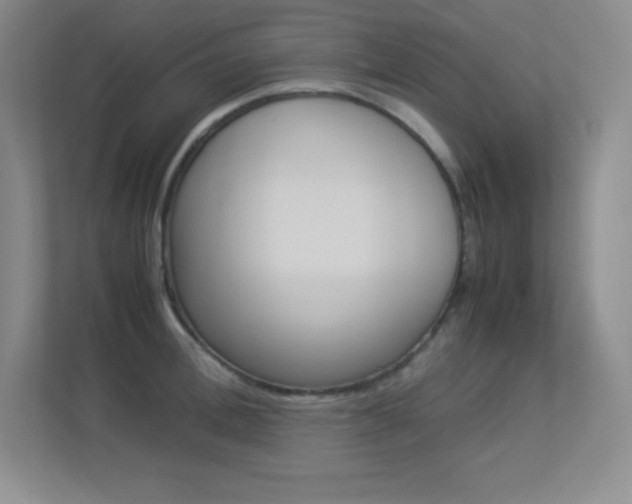 X0000113370996200909151023