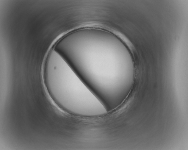 X0000113370999200909151023