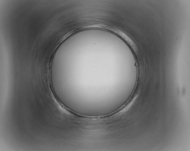 X0000113371001200909151023
